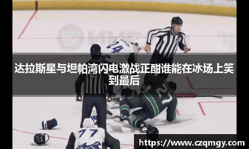达拉斯星与坦帕湾闪电激战正酣谁能在冰场上笑到最后